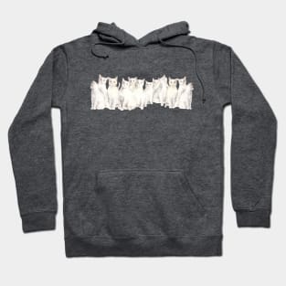 A Caboodle of Cats Hoodie